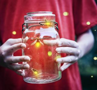 Lightning bugs in a jar