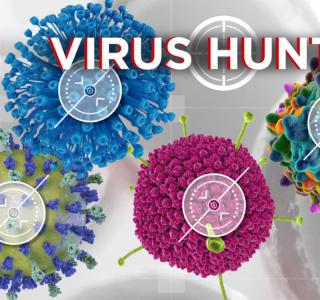 Virus Hunter Game