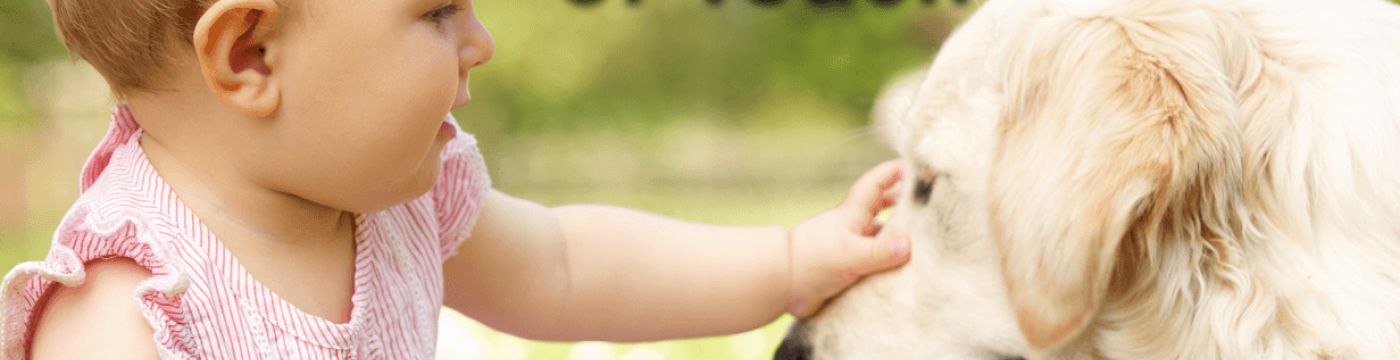 baby petting dog baby petting dog