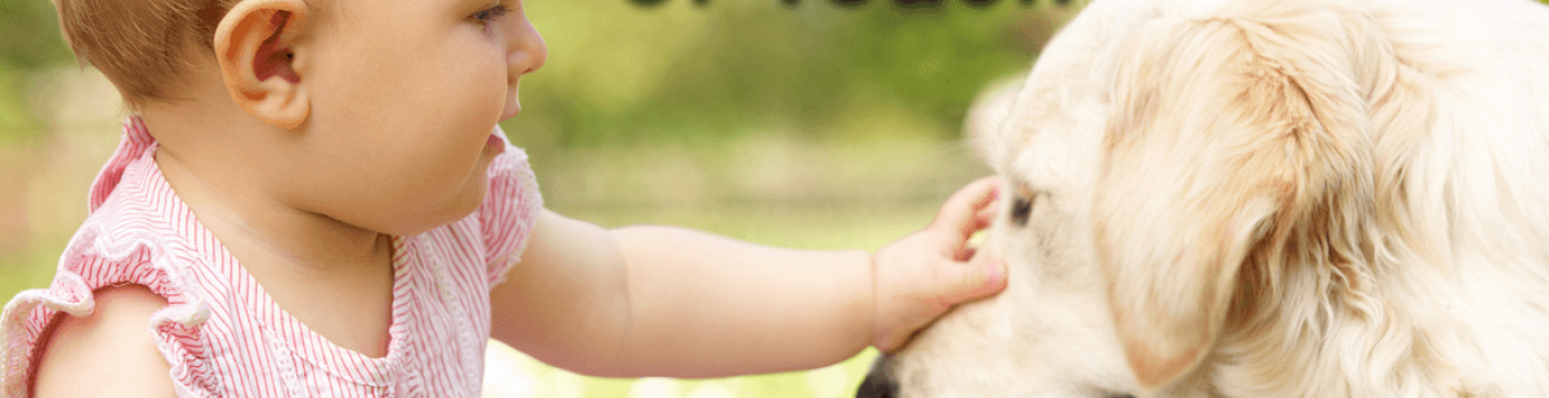 baby petting dog