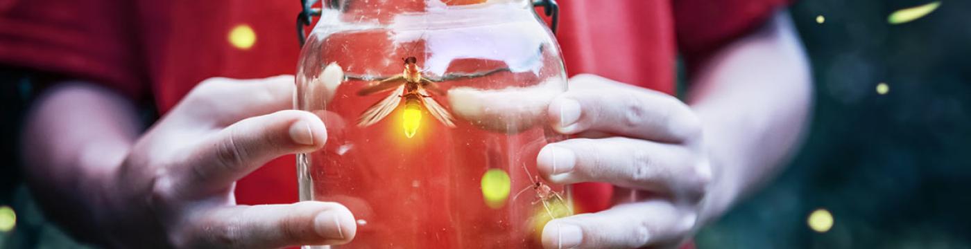 Lightning bugs in a jar