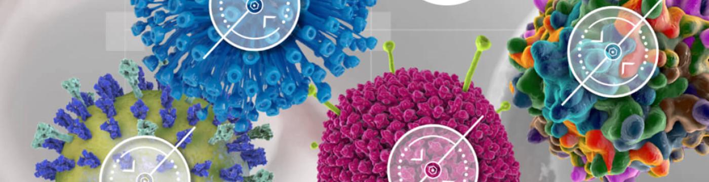 Virus Hunter Game Virus Hunter Game
